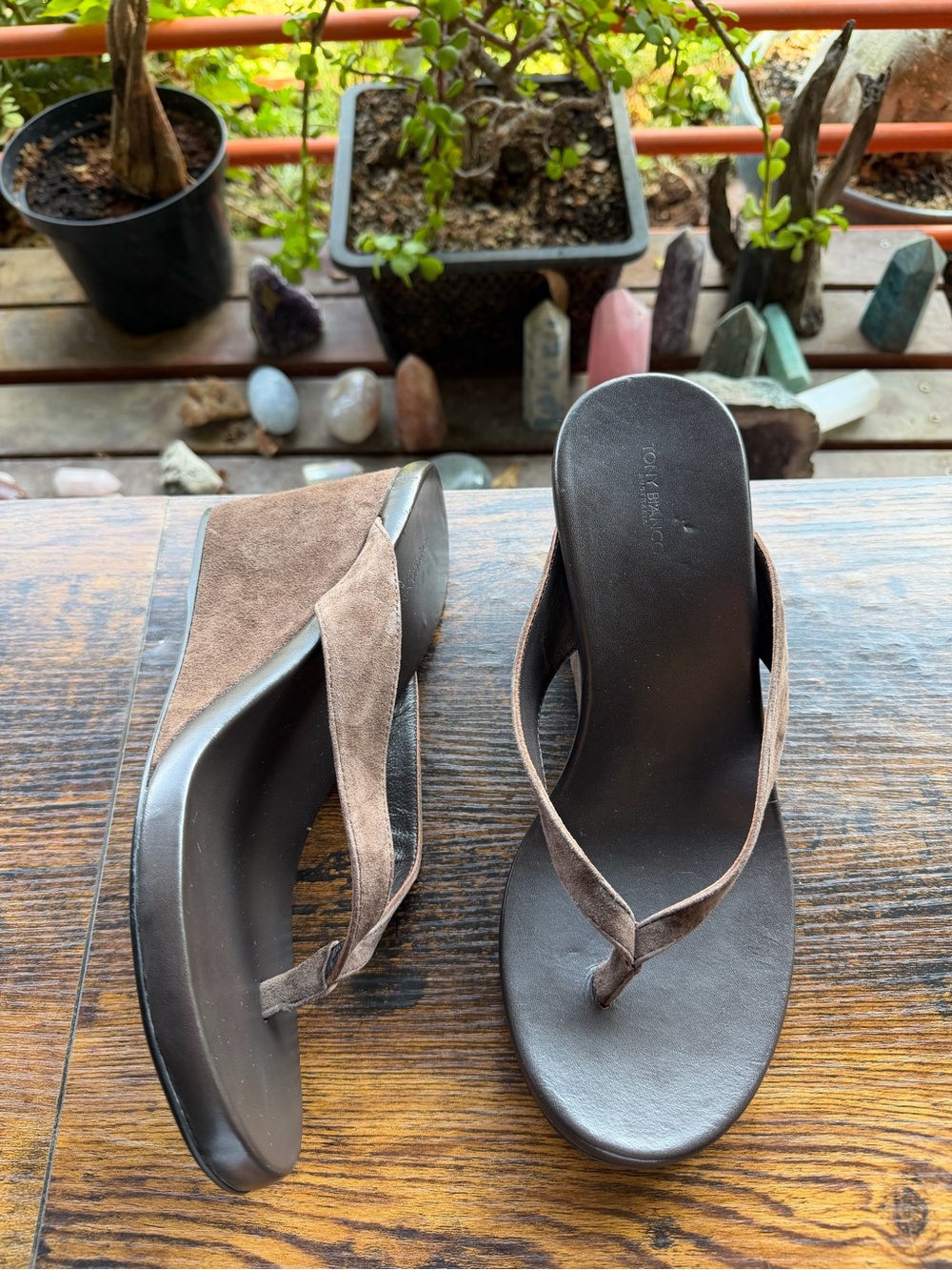 Tony Bianco Avanti Sandal in Espresso